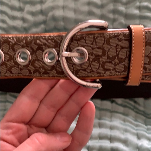 Coach Belt - Picture 3 of 3